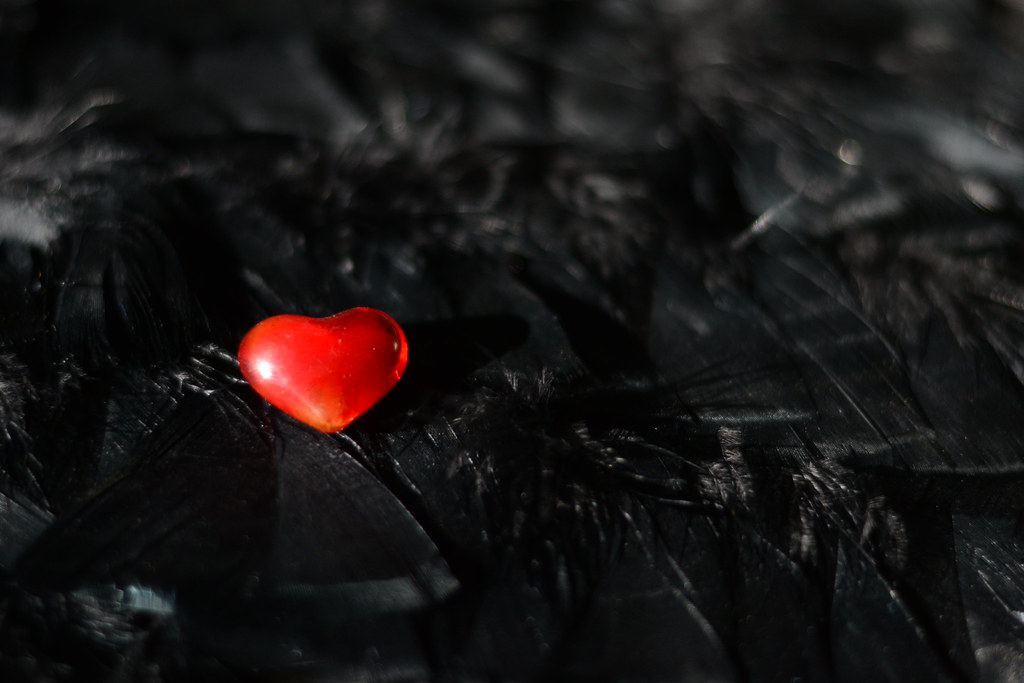 A red heart-shaped crystal on a surface of shiny black feathers